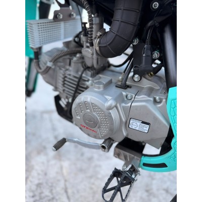 PIT BIKE CROSS PROFIVE 190 - 4.4 ORE TOTALI