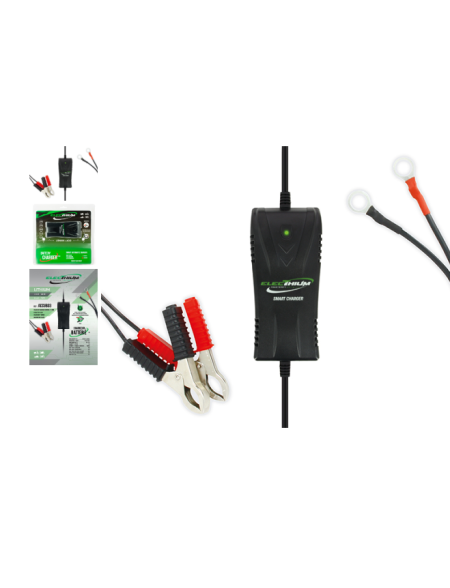 CARICA BATTERIA ELECTHIUM  MOTO SCOOTER - BATTERIE LITIO/ACIDO