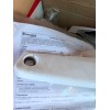 HUSQVARNA TC 125 2 TEMPI - 2023 - ore 125 totali