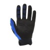 GUANTI FOX RACING DIRTPAW BLUE
